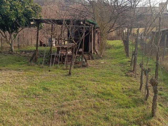 Terreno in vendita a Lecchi, Toscana