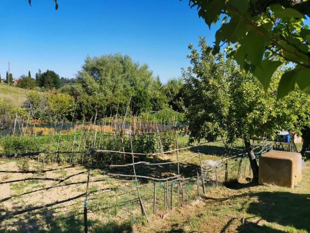 Terreno in vendita a Calcinaia, Lecchi