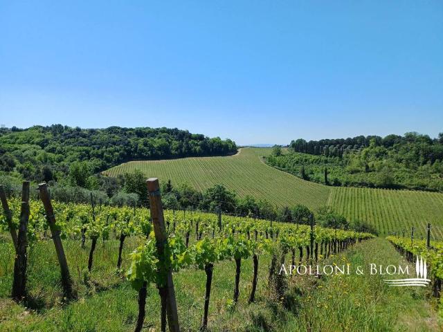 Terreno in vendita a Papaiano, Lecchi