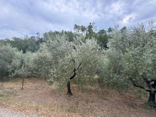 Terreno in vendita a Bonistallo, Poggio A Caiano