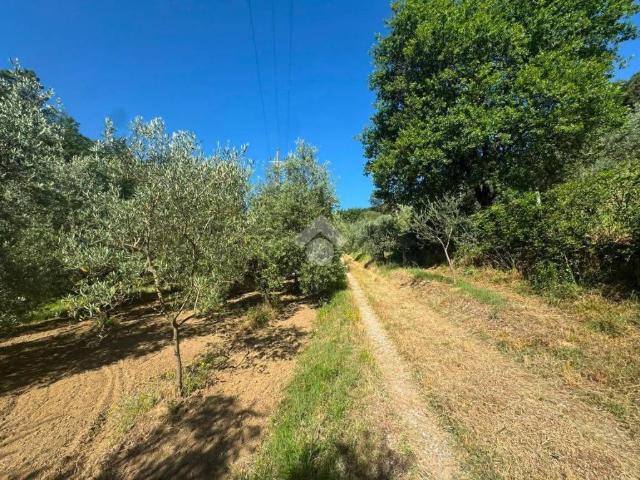 Terreno in vendita a La Serra, Carmignano