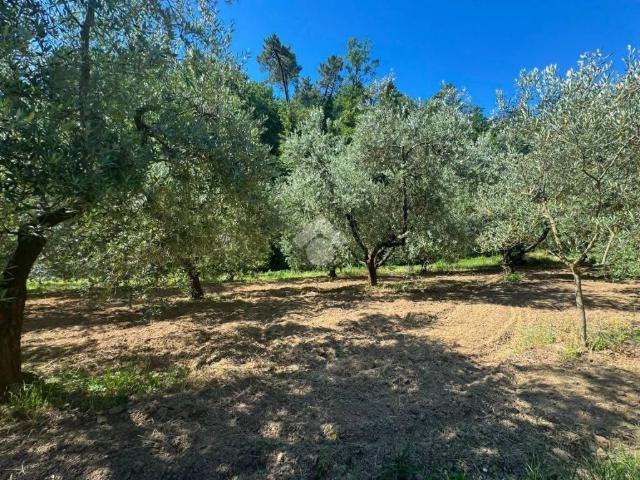 Terreno in vendita a La Serra, Carmignano