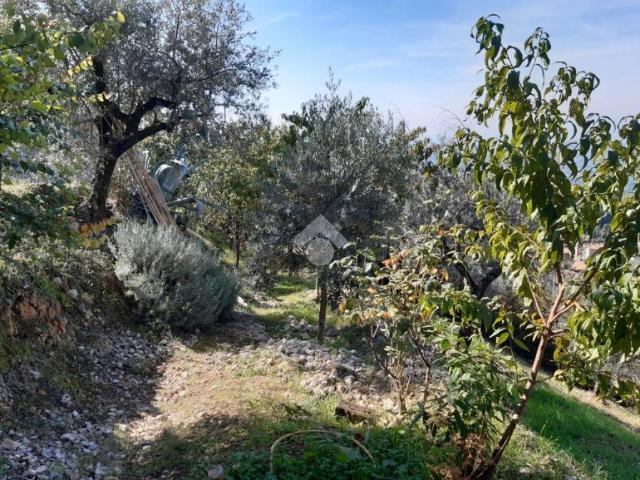 Terreno in vendita a Poggio Catino, Lazio
