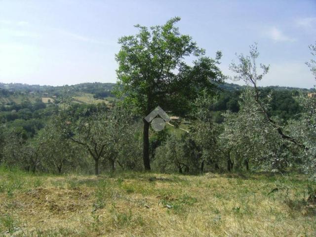 Terreno in vendita a Poggio Catino, Lazio