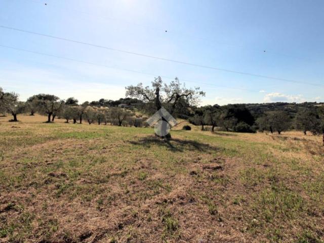 Terreno in vendita a Poggio Mirteto, Lazio