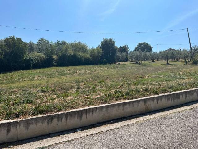 Terreno in vendita a Poggio Moiano, Lazio