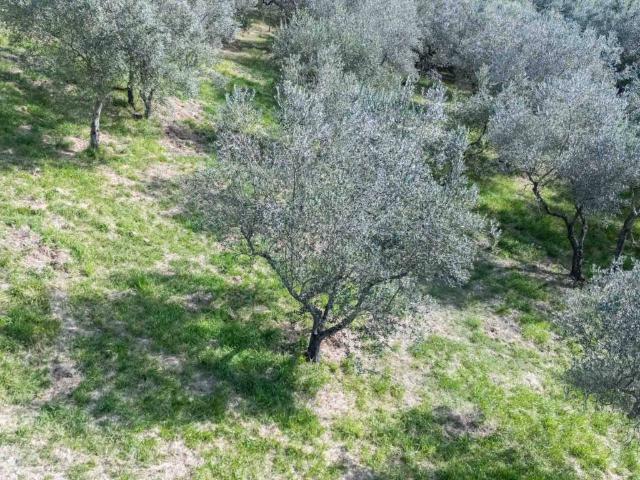 Terreno in vendita a Monte Santa Maria, Poggio Nativo