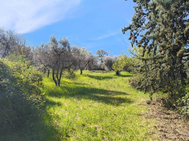 Terreno in vendita a Casali di Poggio Nativo, Poggio Nativo