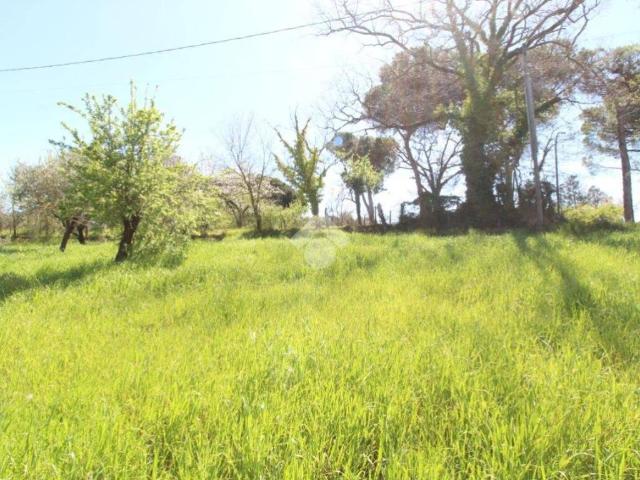 Terreno in vendita a Casali di Poggio Nativo, Poggio Nativo