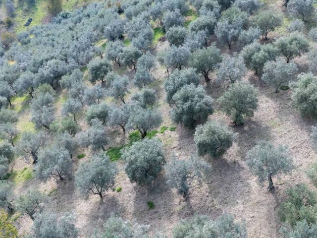 Terreno in vendita a Poggio Nativo, Lazio