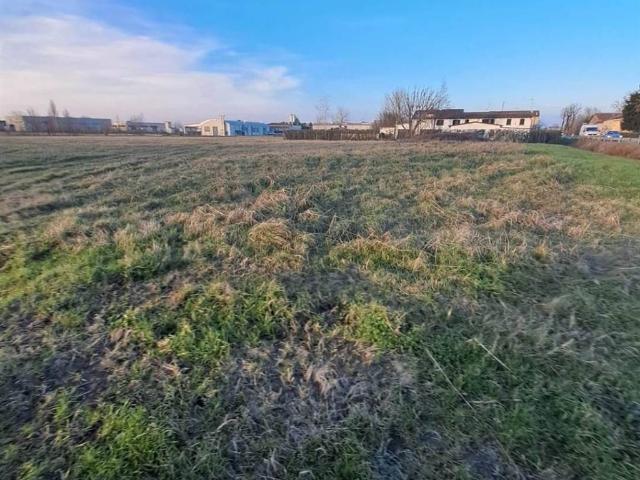 Terreno in vendita a Poggio Rusco, Lombardia