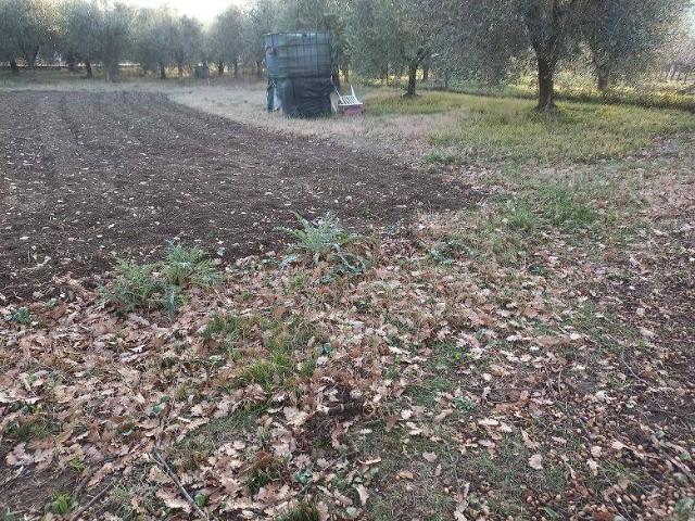 Terreno in vendita a Unione di comuni Valmarecchia, Poggio Berni