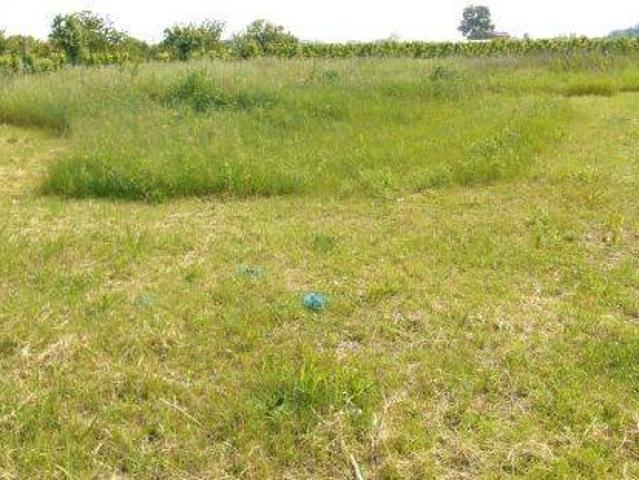 Terreno in vendita a Unione di comuni Valmarecchia, Poggio Berni