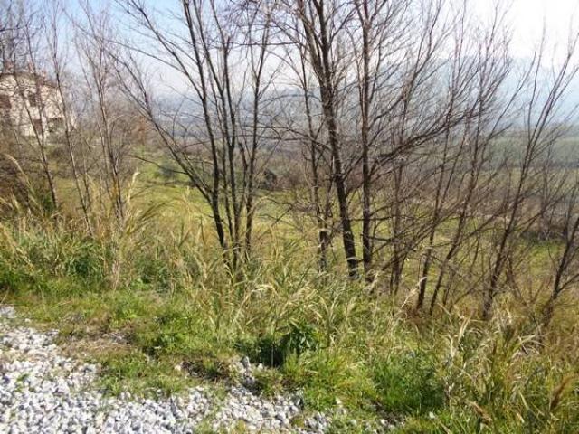 Terreno in vendita a Unione di comuni Valmarecchia, Torriana