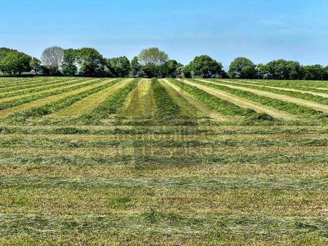 Terreno in vendita a Unione di comuni Valmarecchia, Polverella