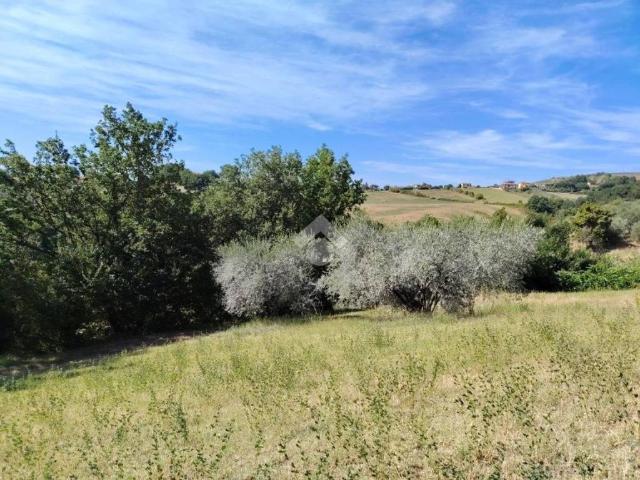 Terreno in vendita a Unione di comuni Valmarecchia, Torriana