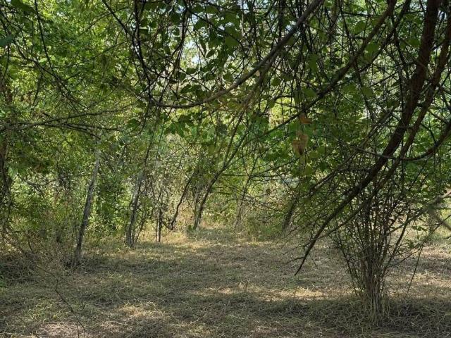 Terreno in vendita a Poggiomarino, Campania