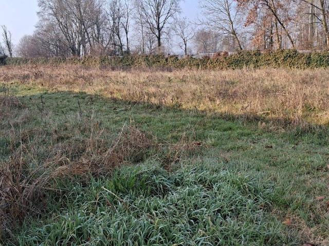 Terreno in vendita a Pognano, Lombardia