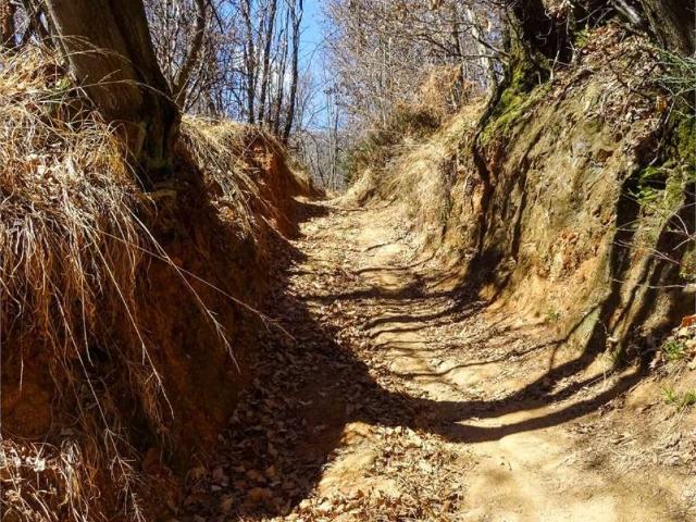 Terreno in vendita a Piemonte, Novara