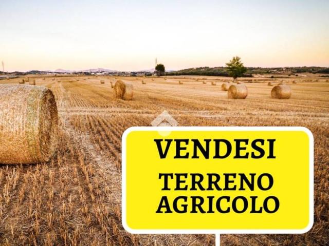 Terreno in vendita a Marocchi, Piemonte
