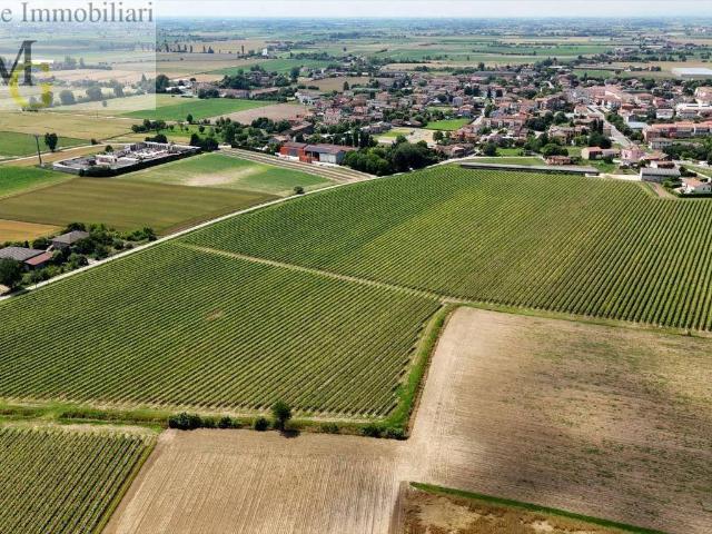 Terreno in vendita a Poiana Maggiore, Veneto