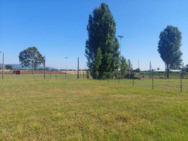 Terreno in vendita a Poiana Maggiore, Veneto