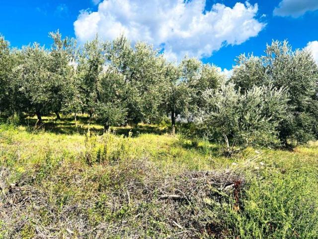 Terreno in vendita a San Vittorino, Poli