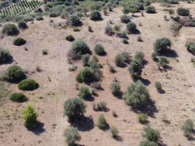 Terreno in vendita a Policoro, Basilicata