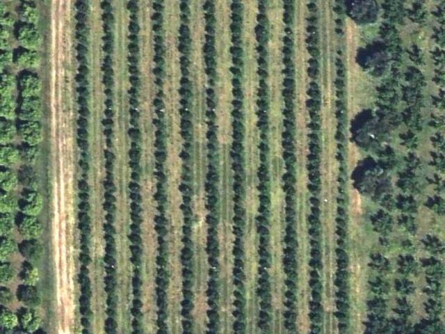 Terreno in vendita a Policoro, Basilicata