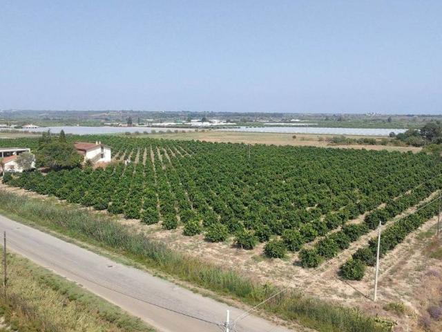 Terreno in vendita a Policoro, Basilicata