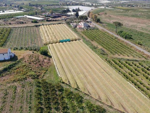 Terreno in vendita a Policoro, Basilicata