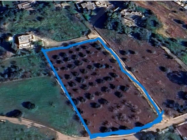 Terreno in vendita a Casello Cavuzzi, Puglia