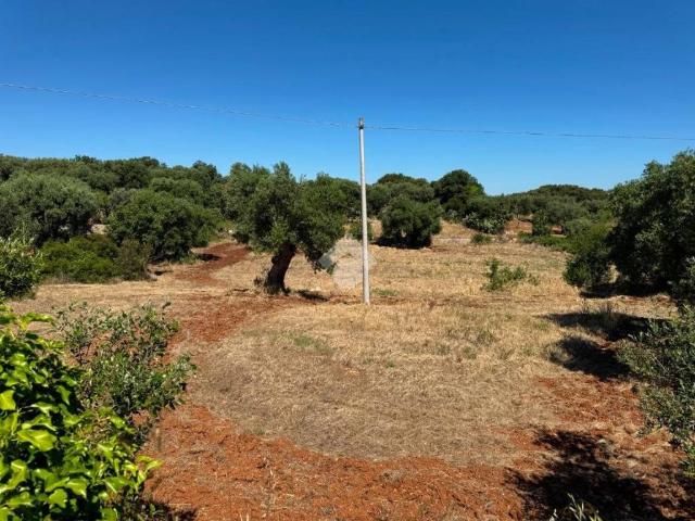Terreno in vendita a Puglia, Bari