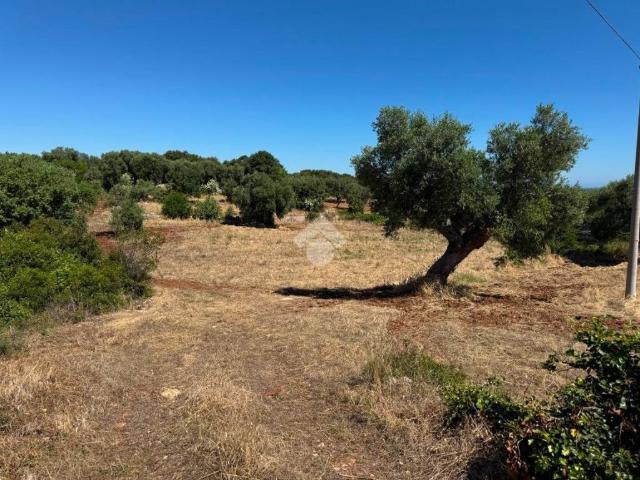 Terreno in vendita a Puglia, Bari