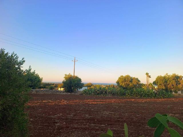 Terreno in vendita a Conversano, Bari