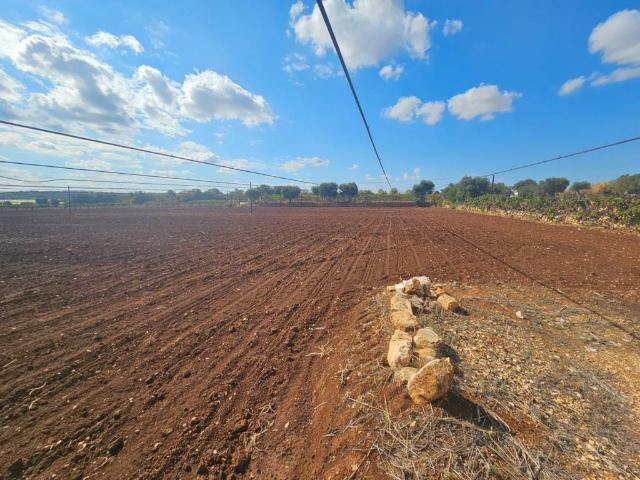 Terreno in vendita a Puglia, Bari