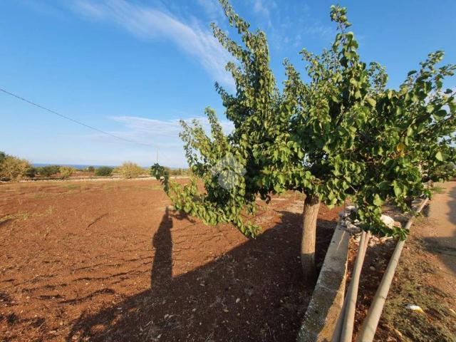 Terreno in vendita a Puglia, Bari