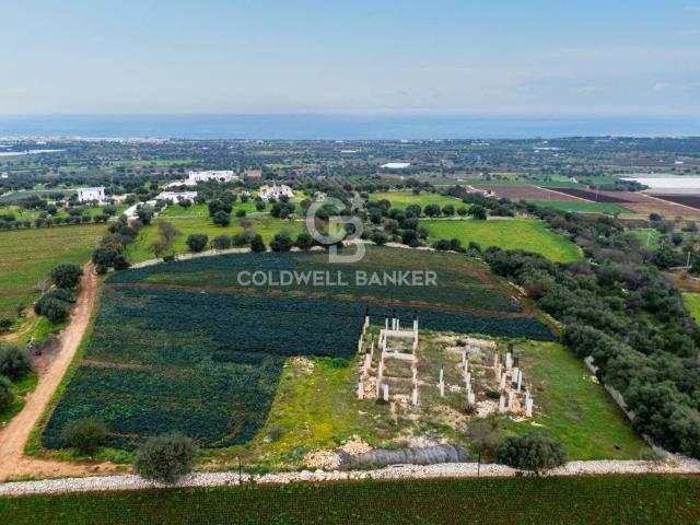 Terreno in vendita a Puglia, Bari