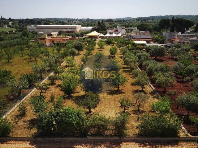Terreno in vendita a Casello Cavuzzi, Puglia