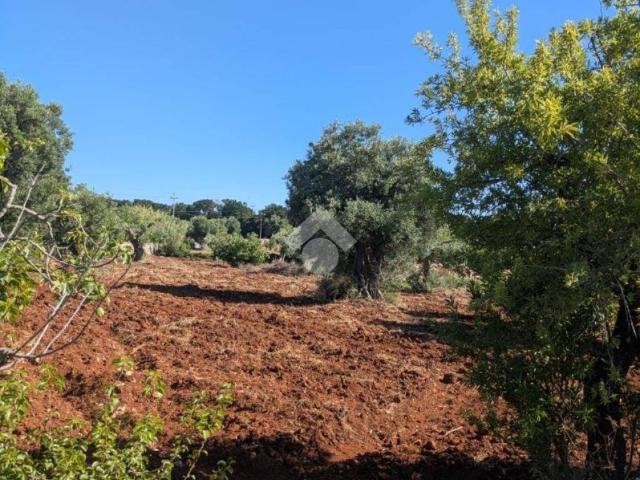 Terreno in vendita a Casello Cavuzzi, Puglia