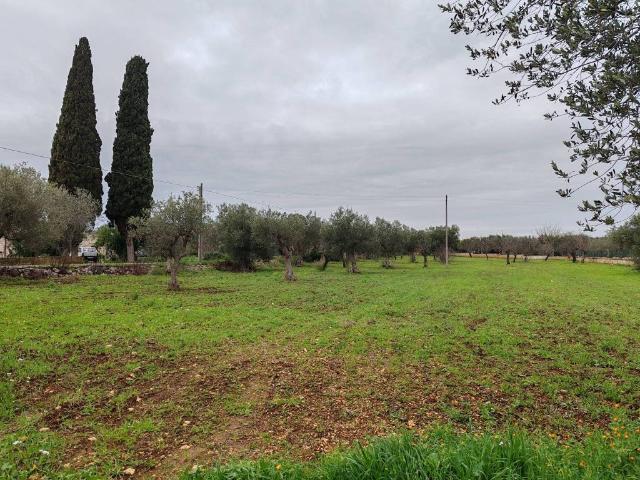 Terreno in vendita a Monte Cipolla, Puglia