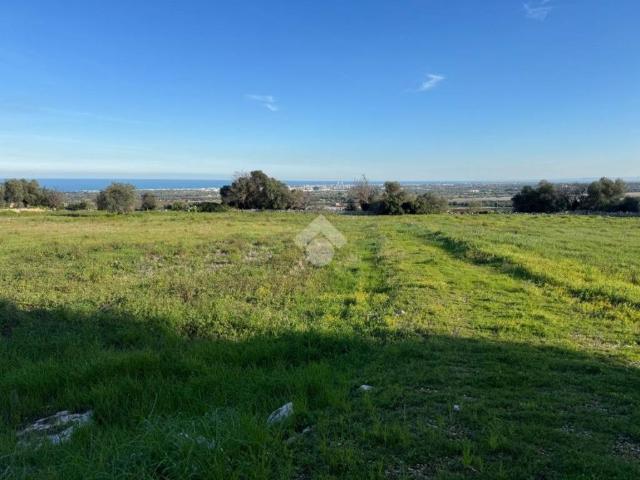 Terreno in vendita a Puglia, Bari
