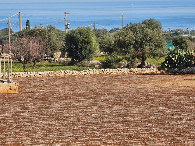 Terreno in vendita a Puglia, Bari