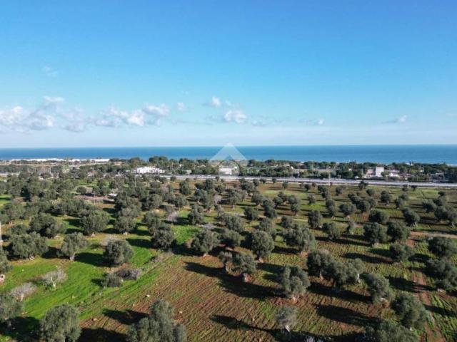 Terreno in vendita a Puglia, Bari