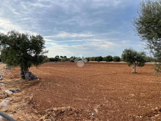 Terreno in vendita a Casello Cavuzzi, Puglia