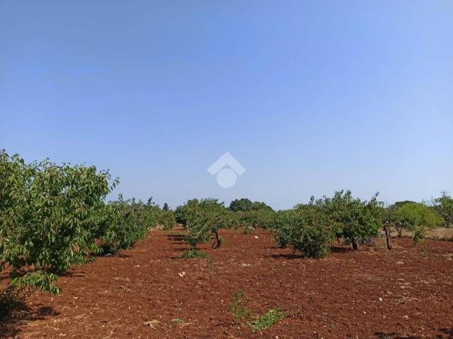 Terreno in vendita a Casello Cavuzzi, Puglia