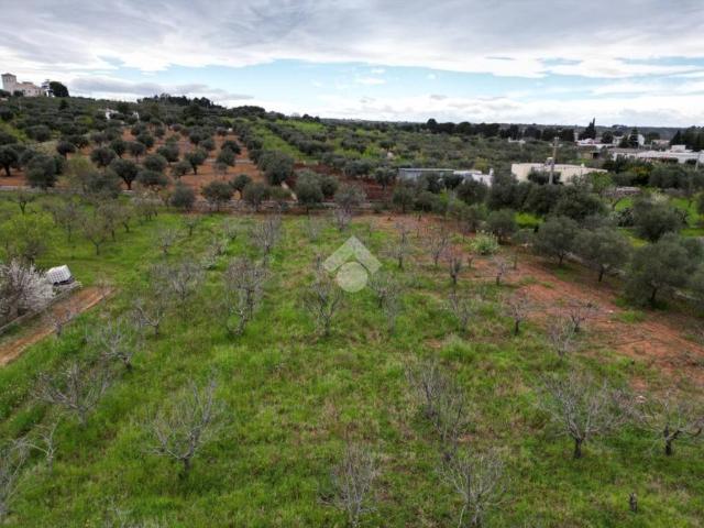Terreno in vendita a Puglia, Bari