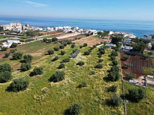 Terreno in vendita a San Vito, Puglia