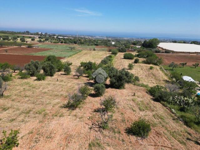 Terreno in vendita a Puglia, Bari