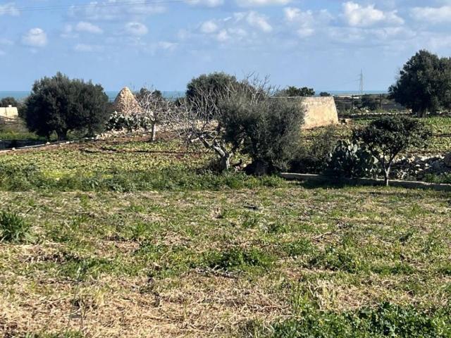 Terreno in vendita a Puglia, Bari